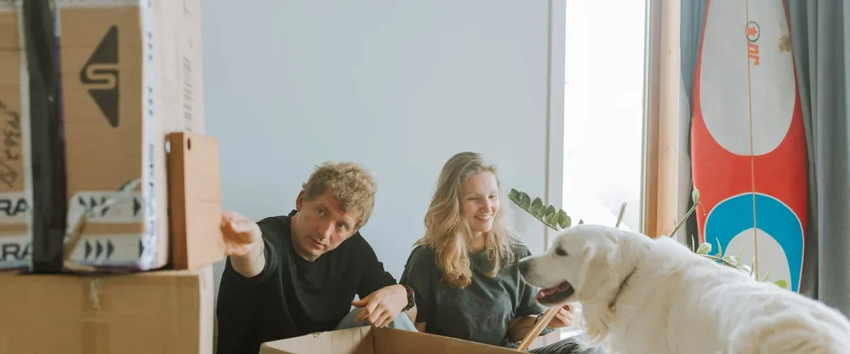 comment demenager chat chien stresser