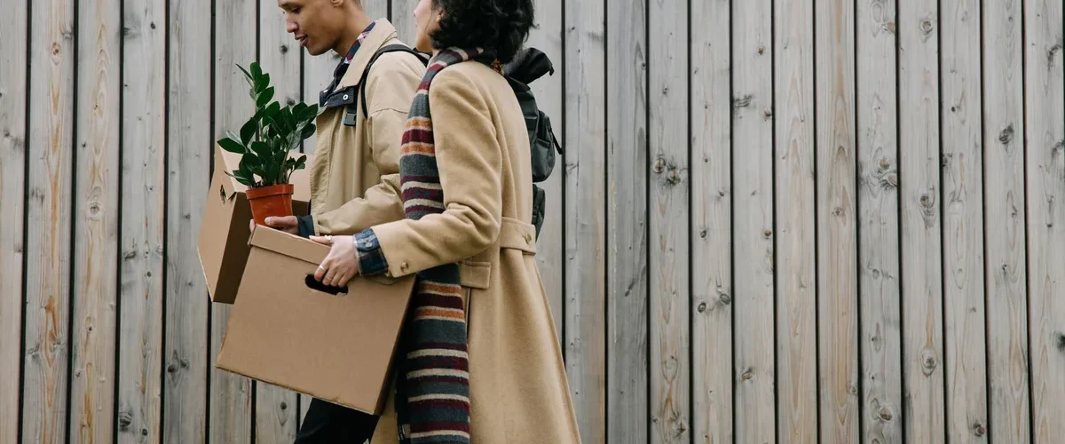 comment transporter plantes lors demenagement